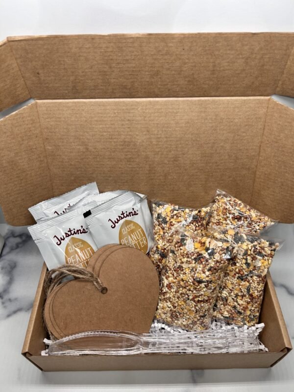 DIY Bird Feeder Kit